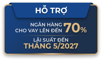 Csbh Theopus One01 2 (1)